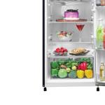 Haier 185L HRD-2062CMSF-N 2 Star Marine Spring Floral Finish Direct Cool Single Door Refrigerator