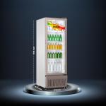 Haier HVC-405GT5 400L Visi Cooler with 5 Adjustable Shelves(1+3 Yr Warranty)